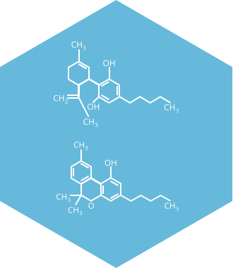 cbd-cbn