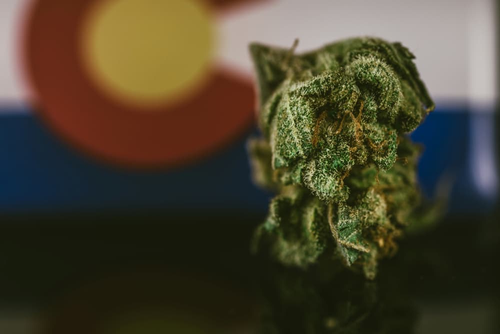Picture of marijuana bud with Colorado flag in background