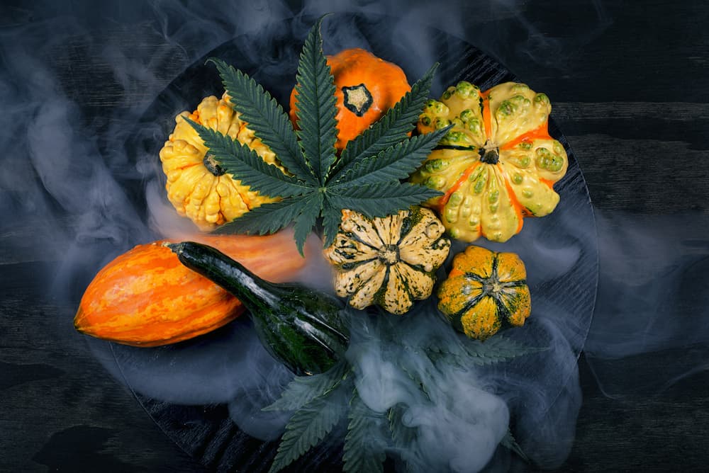 Best Strains for a Happy Thanksgiving
