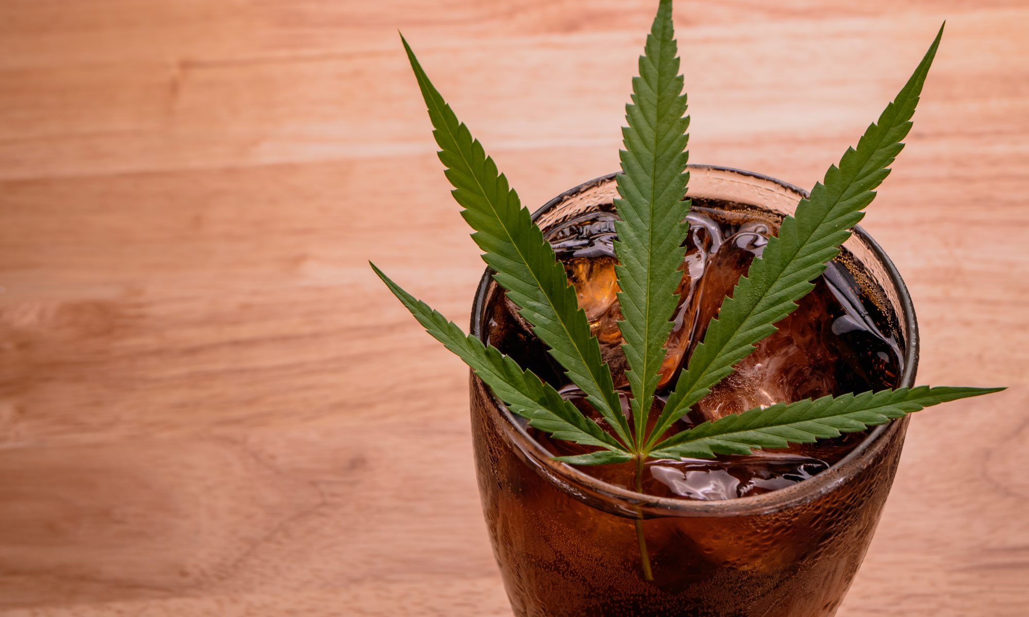 Chronic Therapy showcasing their cannabis soda drinks Colorado