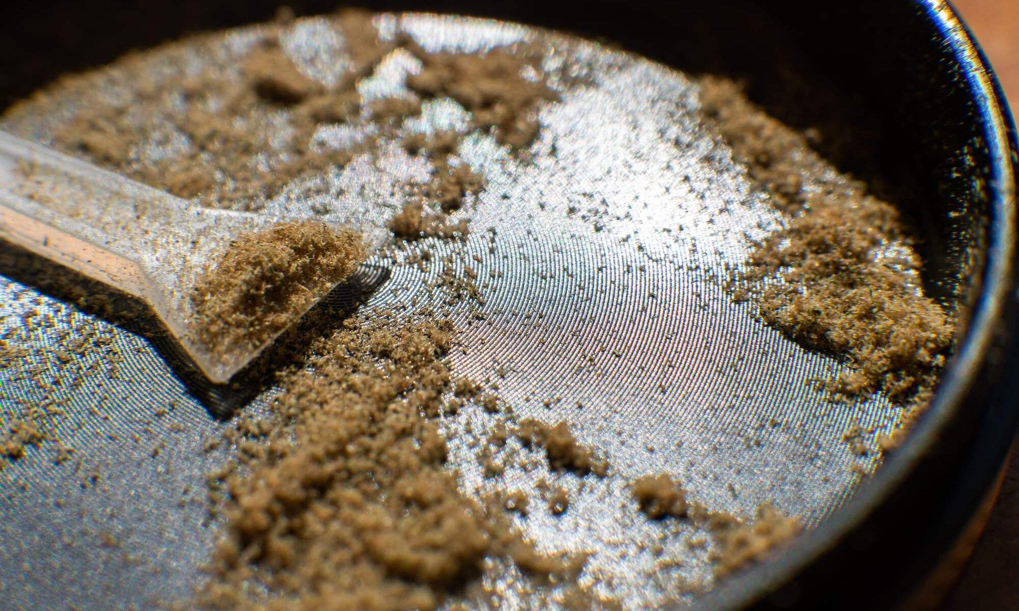 kief inside a grinder