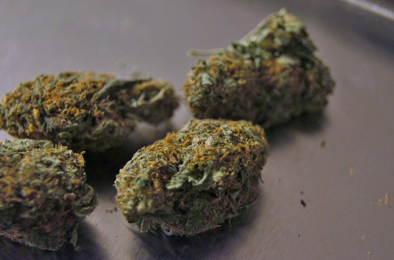 close up image of bubba kush