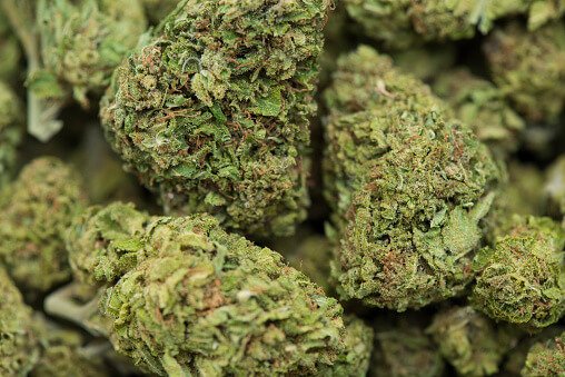 close up image of marijuana buds