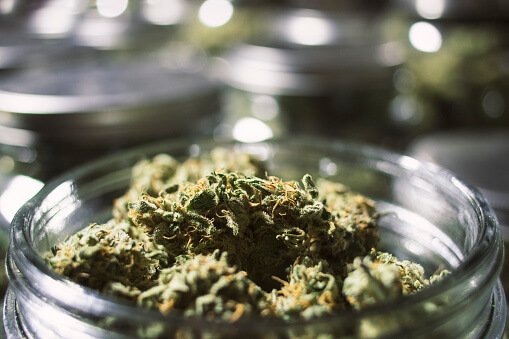 marijuana flower in a jar