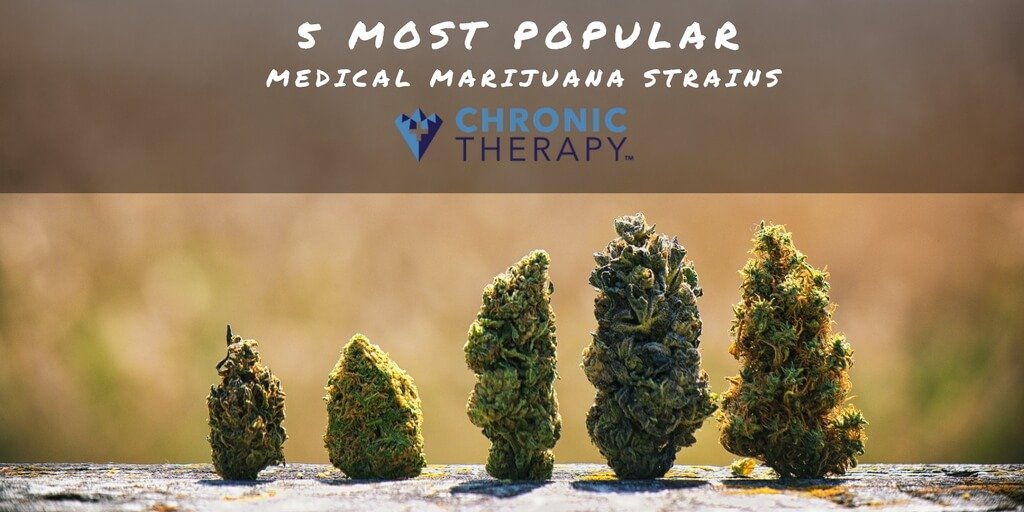5 Most Popular Medical Marijuana Strains banner