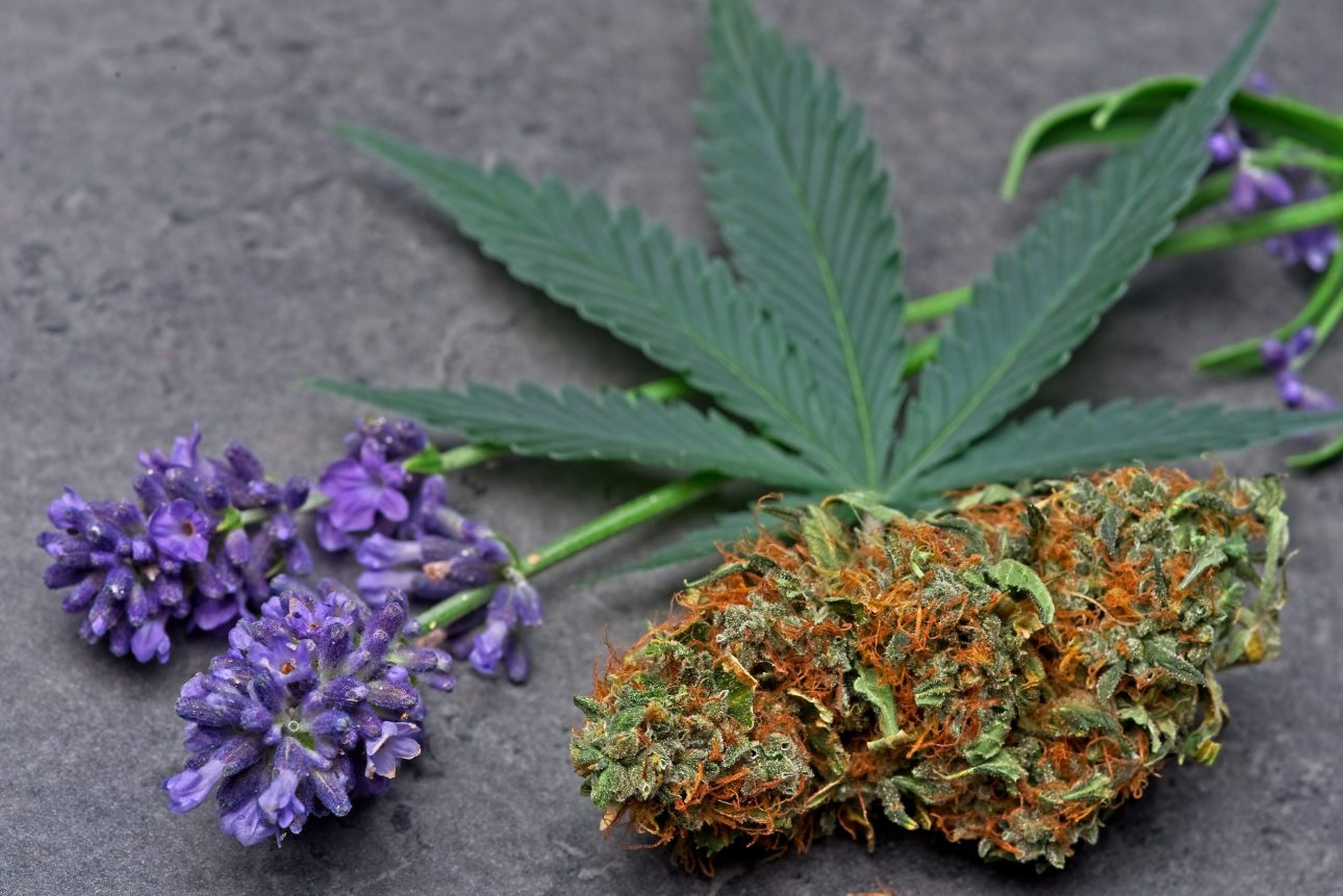 What is Linalool? Effects and Taste | Chronic Therapy