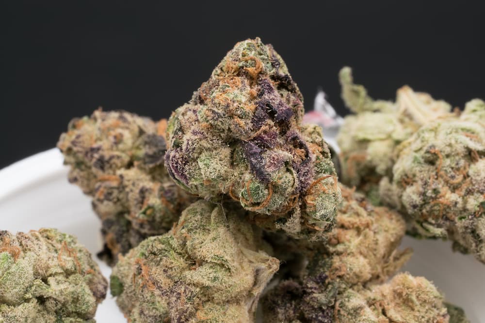 close up image of marijuana bud with purple hues